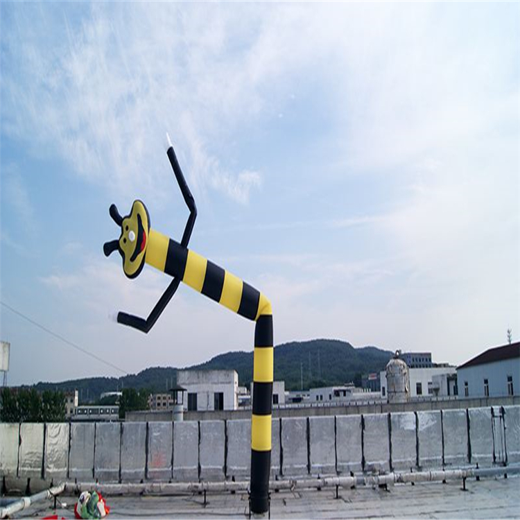 贵州蜜蜂空中舞星人